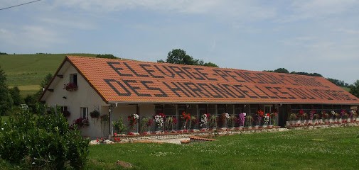 Elevage Canin des Hirondelles du Voyage, Eleveur de Chiens à Gugney-aux-Aulx