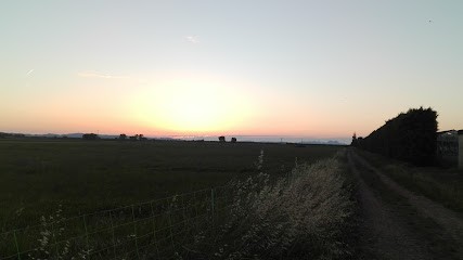 Training Club Canin, Dresseur de Chiens à Saint-Martin-de-Crau