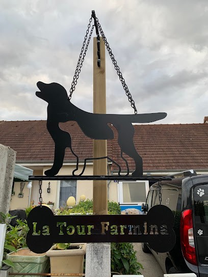 Labradors De La Tour Farmina, Eleveur de Chiens à Saint-Phal