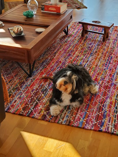 Du Domaine De Briere, Eleveur de Chiens au Val