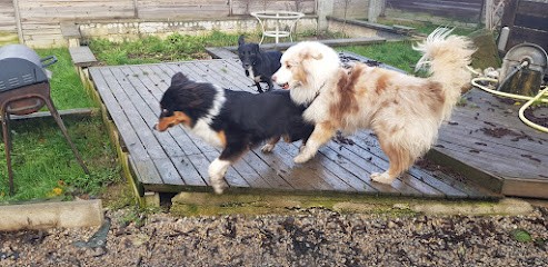 É-du-chien, Pension pour Chiens à Beaucourt