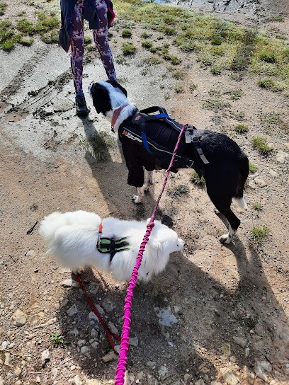 Passion Animaux 58 Educateur Canin Et Pet Sitters, Dresseur de Chiens à Nevers