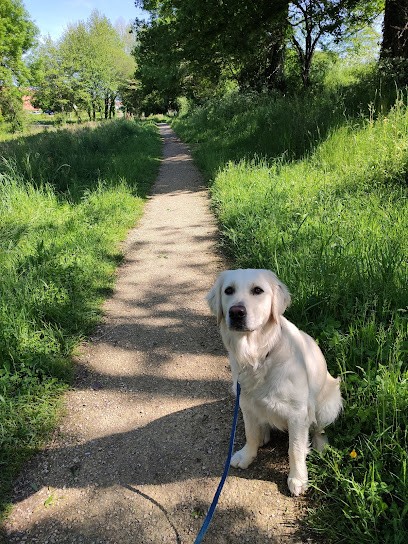 Paul Éduc, Dresseur de Chiens aux Epesses