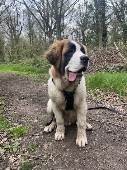 Eduka Dog's - Educateur Canin, Dresseur de Chiens à Saint-Quentin-sur-le-Homme