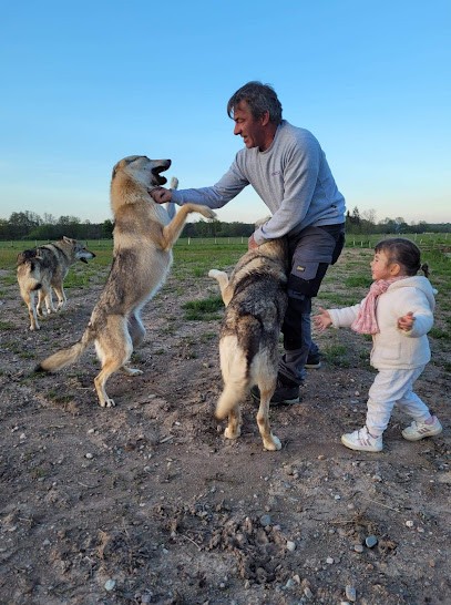 Élevage Des Ruby de Jade (Chien Loup Tchécoslovaque), Eleveur de Chiens à Lure