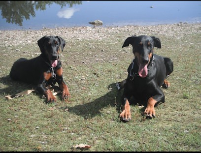 EURL pension des dames chanoinesses, Eleveur de Chiens à Girancourt