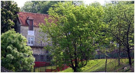 Le Casaquin, Pension pour Chiens à Baugy