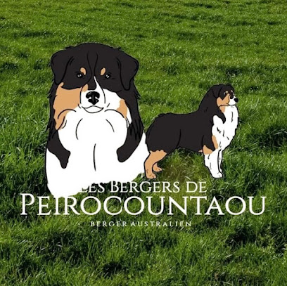Les Bergers De Peirocountaou, Éleveur De Chiens à Saint-Aubin-le-Monial