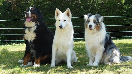 Educ-Forever, Pension pour Chiens à Montholier