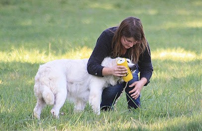 Élevage De Chiens Living Links - Labrador Et Golden Retriever, Eleveur de Chiens à Sérignac