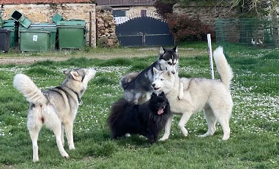 Canine Mysteries - Marie Dagnan, Pension pour Chiens à Boissise-le-Roi