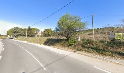 ELEVAGE DE TERRE NEUVE DU CLOS DES ABYSSES DE PROVENCE, Eleveur de Chiens à Martigues