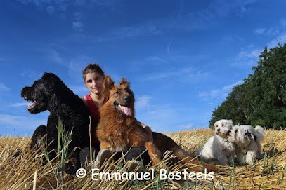 Ysé Matussière éducation canine, Dresseur de Chiens à Olmet