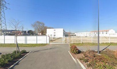 Pension Aux 1000 Et 4 Pattes, Pension pour Chiens à Saint-Jory