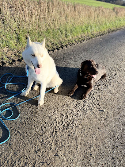 Éduccanin Ferrante Anaëlle Dresseur De Chiens à Ham