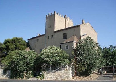 LES BOUVIERS des FLANDRES de la DULLAGUE, Eleveur de Chiens à Béziers