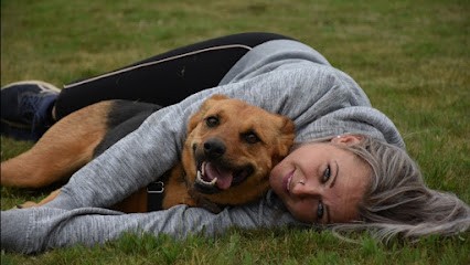 Vos Compagnons, Ma Passion - Pension Canine Familiale Sans Box-Garderie-Vente De Friandises Naturelles-Pet-sitting-Transport, Pension pour Chiens à Peumerit