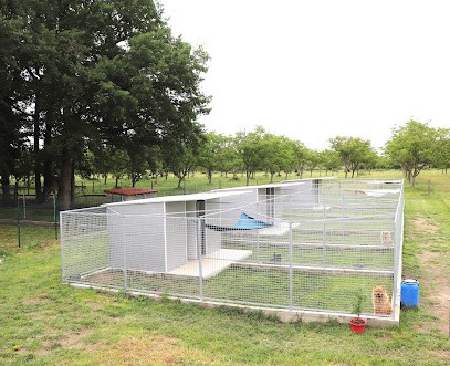 Chez Leeloo, auberge canine, Pension pour Chiens à Montaut