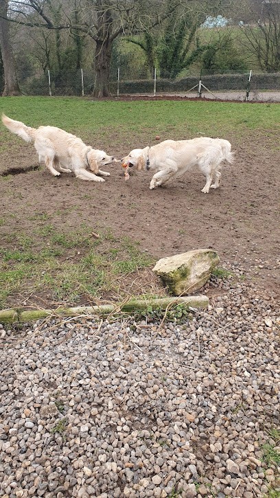 Au Royaume De Billy - Pension Familiale, Pension pour Chiens à Vatierville