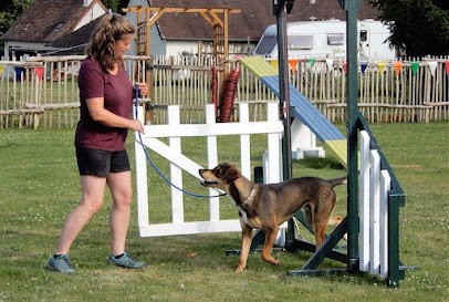 Amberslade Education Et Agility Canine, Dresseur de Chiens à Sarlande