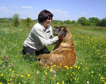 Des Armoiries Aux Têtes D'Or, Eleveur de Chiens à Montaigu-de-Quercy