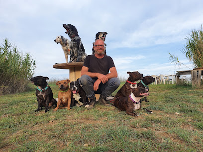 Doggy Family - Educateur Comportementaliste Canin, Dresseur De Chiens à Fontès