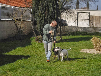 Dupin David, Dresseur De Chiens à Presles-et-Boves