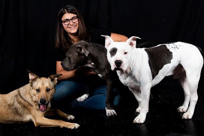 L'arche D'Elo - Education Canine Et Services Animaliers, Dresseur de Chiens à Lauris