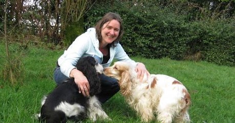 À Toutes Papattes, Dresseur de Chiens au Châtellier