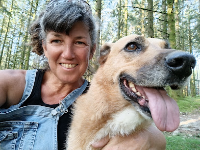 La Petite Colo Des 4 Pattes Pension Pour Chien à Royère-de-Vassivière
