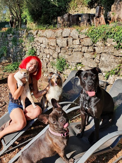 MA PETITE PENSION, Pension pour Chiens à Coursegoules