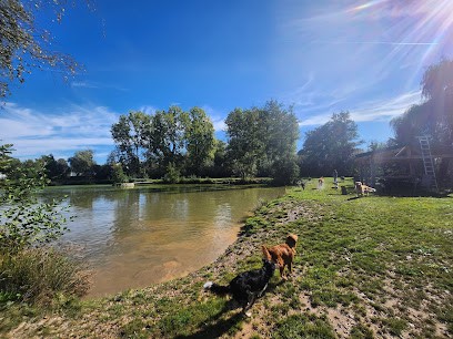 Educ'VAL du Royaume de Navarre, Pension pour Chiens à Chenevières