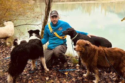 Tdog Éducateur Canin Grenoble & Promeneur De Chien Dresseur De Chiens à Saint-Égrève