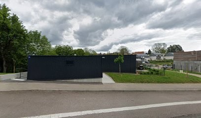 Élevage des Comtés Séquanes, Eleveur de Chiens à Besançon