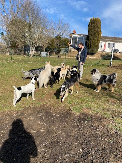 My4pattes, Pension pour Chiens à Condat-sur-Vienne