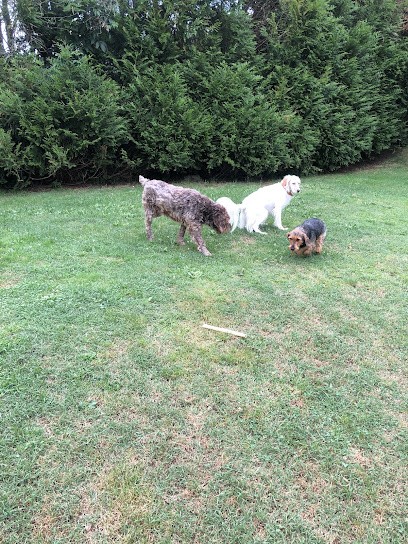 LIBREAU Sylvie, Pension pour Chiens à Cornil