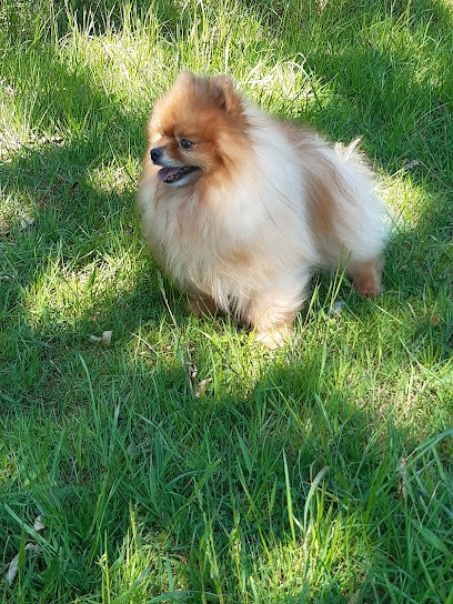 Galzin Edwige, Eleveur de Chiens à Châtillon-sur-Colmont