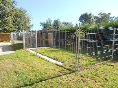 Elevage de bergers allemands LOF et pension canine Des Hauts du Mont de Plasne, Eleveur de Chiens à Thénac