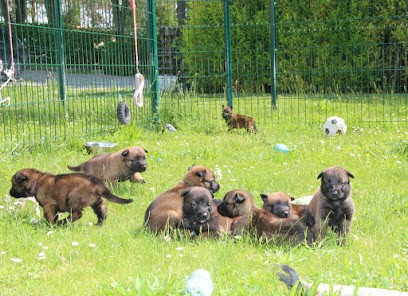Le Paradis Des Edelweiss, Eleveur de Chiens à Ambonnay