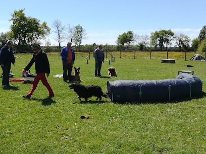 Centre D'éducation Canin Talmondais, Dresseur de Chiens à Talmont-Saint-Hilaire