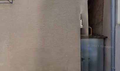 Whippets des Syryak, Eleveur de Chiens à Orschwihr