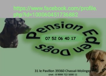 EDEN DOGS, Pension pour Chiens à Chassal