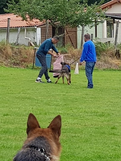 Centre Canin Cyno 23, Pension pour Chiens à Saint-Martin-Château
