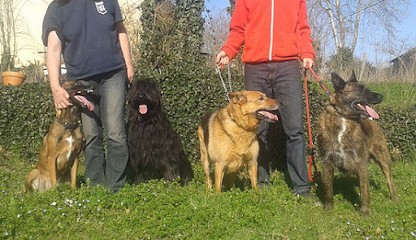 La-Roca-de-Hada, Pension pour Chiens à Larroque