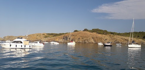 Centre D'activités Canin Et Félin Du Languedoc, Dresseur de Chiens à Narbonne