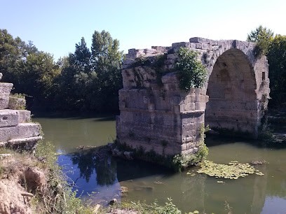 Elevage et Garderie des Paredasses, Eleveur de Chiens à Villetelle