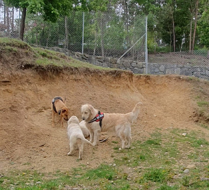 Auberge Canine De Saint Pierre, Pension Pour Chien à Saint-Pierre