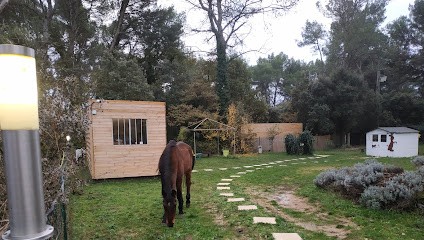 ID'FIX, Dresseur de Chiens à Lambesc