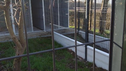 Gite Canin Du Flo Vert, Pension pour Chiens à Merckeghem