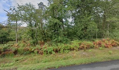 Bercot Fabien, Pension pour Chiens à Souesmes